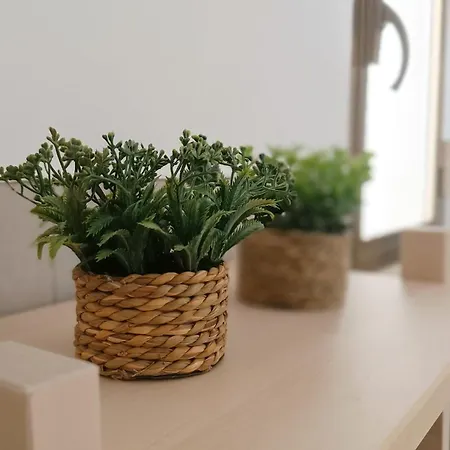 Apartment Civico 16